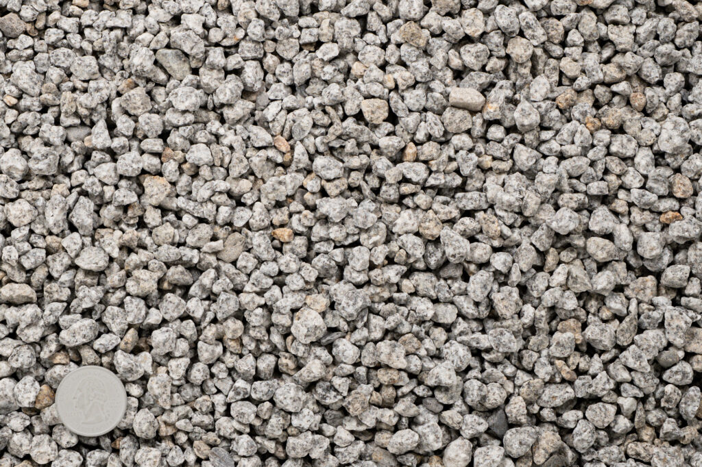 A close-up view of small gray gravel stones, commonly used as poultry grit, covering the ground, with a quarter placed in the bottom left corner for scale.