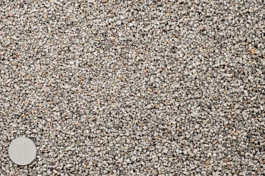 A close-up view of fine, light-colored poultry grit with a quarter placed in the bottom left corner for scale.